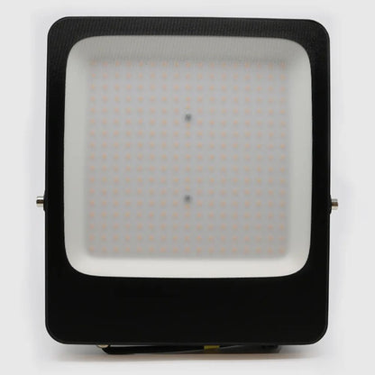 5600352034873_1.JPG