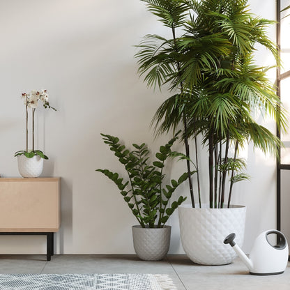 5600442826418_2.JPG