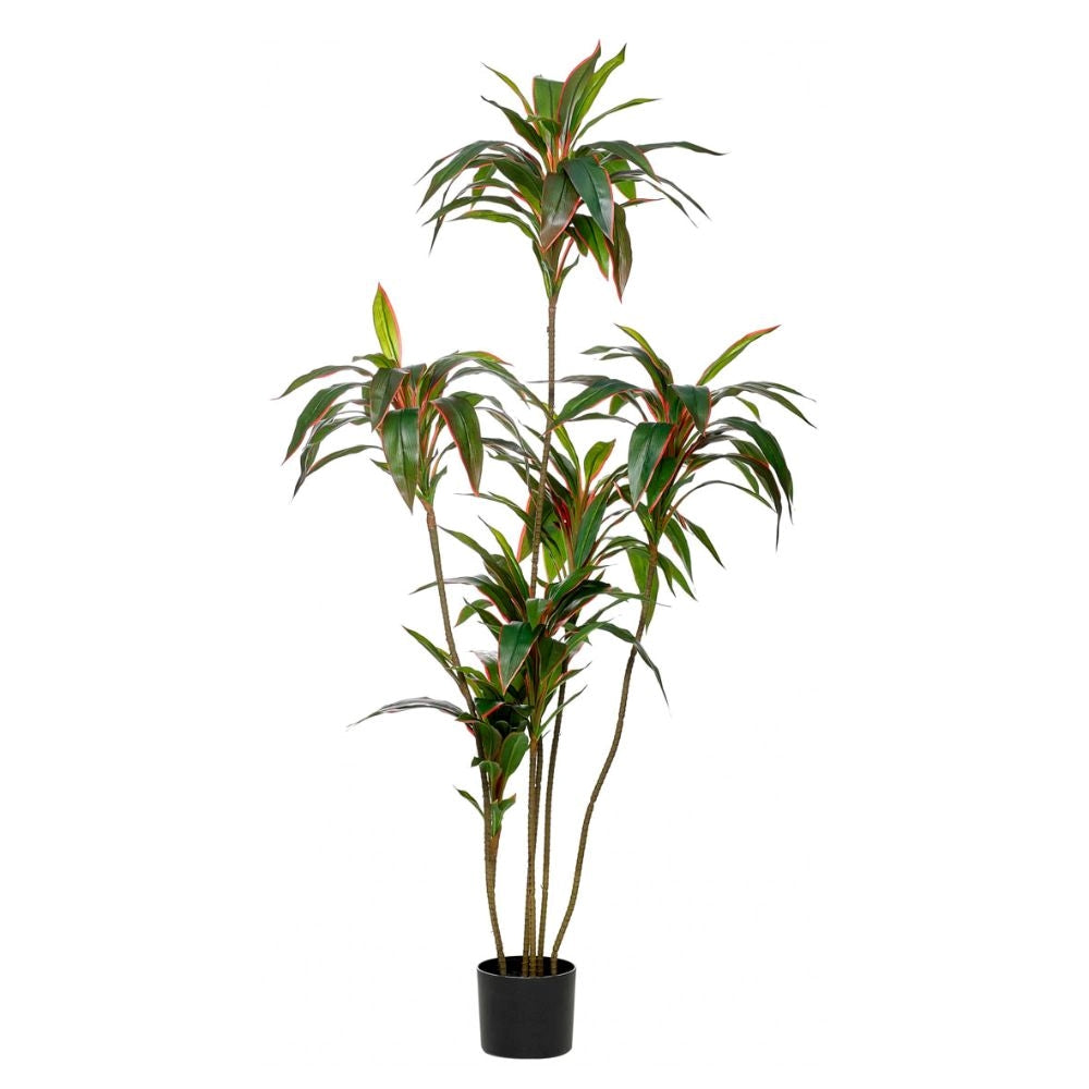 Planta Artificial Red Dracaena 102cm