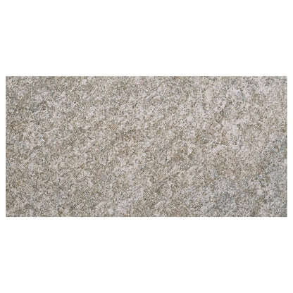 C241730600002.JPG
