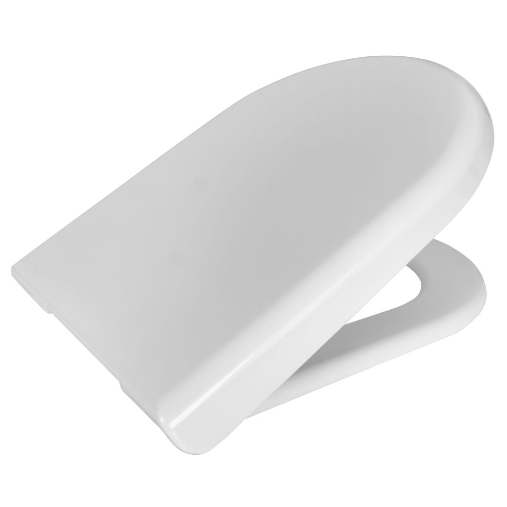 DIVPTER001.JPG