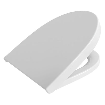 DIVPTER210.JPG