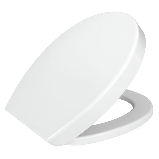 DIVPTER340.JPG