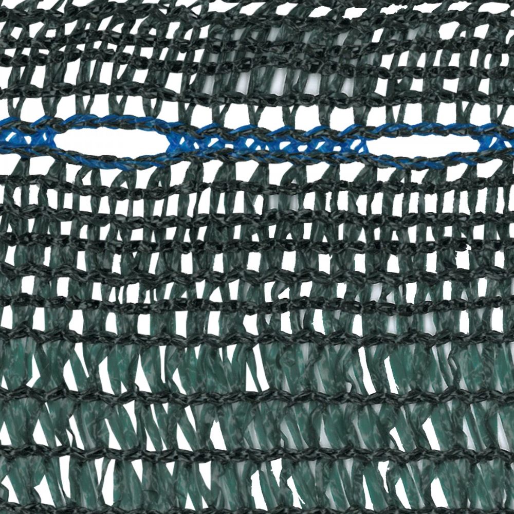 F100000000415.JPG